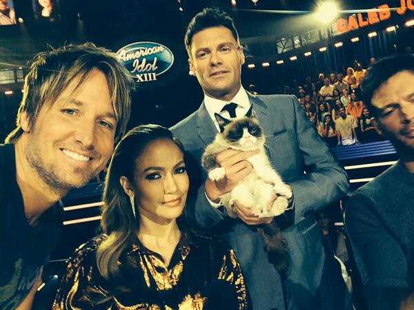 Grumpy Cat Poses With American Idol Judges