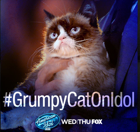 Grumpy Cat Hashtag American Idol