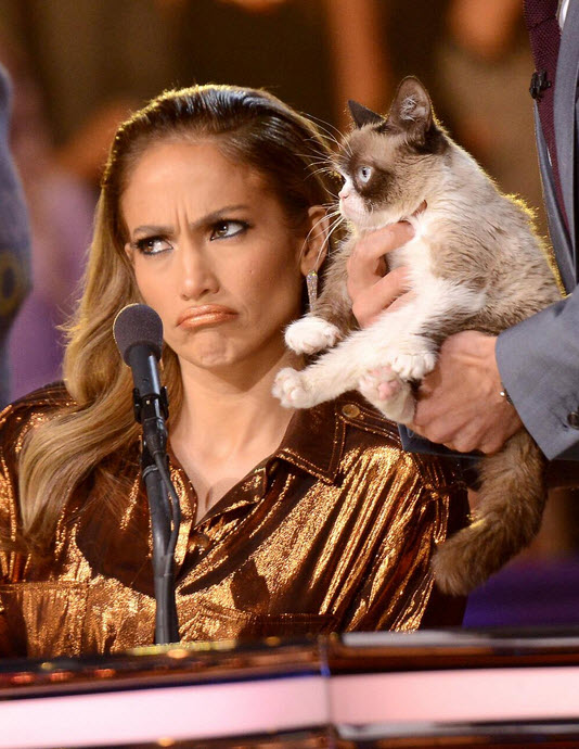 Jennifer Lopez and Grumpy Cat on American Idol