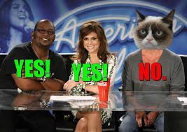 american idol grumpy cat