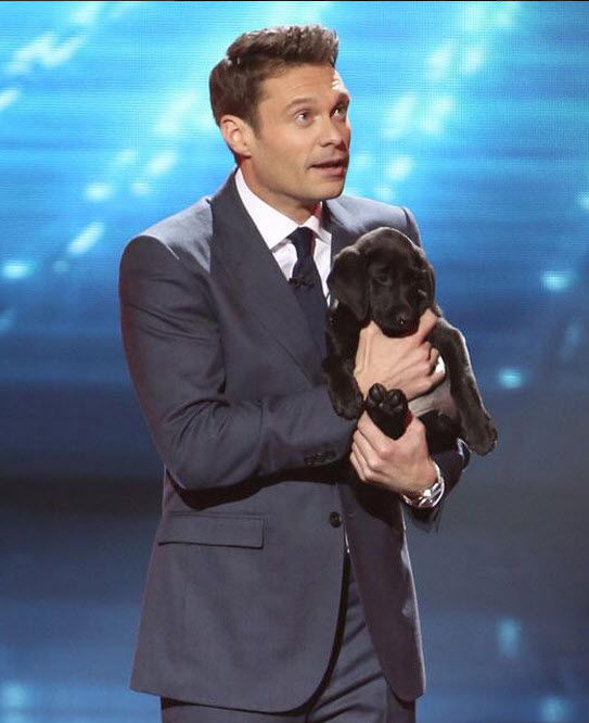 American Idol Ryan Seacrest puppy