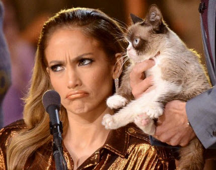 American Idol judge Jennifer Lopez and Grumpy Cat - Source: FOX